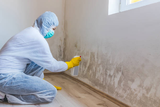 Hvac And Air Duct Mold Remediation inspection of HVAC system in Mount Arlington